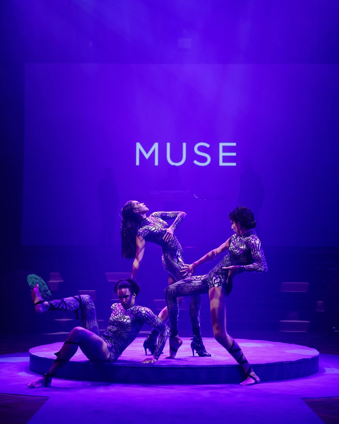 MUSE. As in nouno their history, their pedigree, their prestige, their scarcity. Sounds sophisticat.jpg