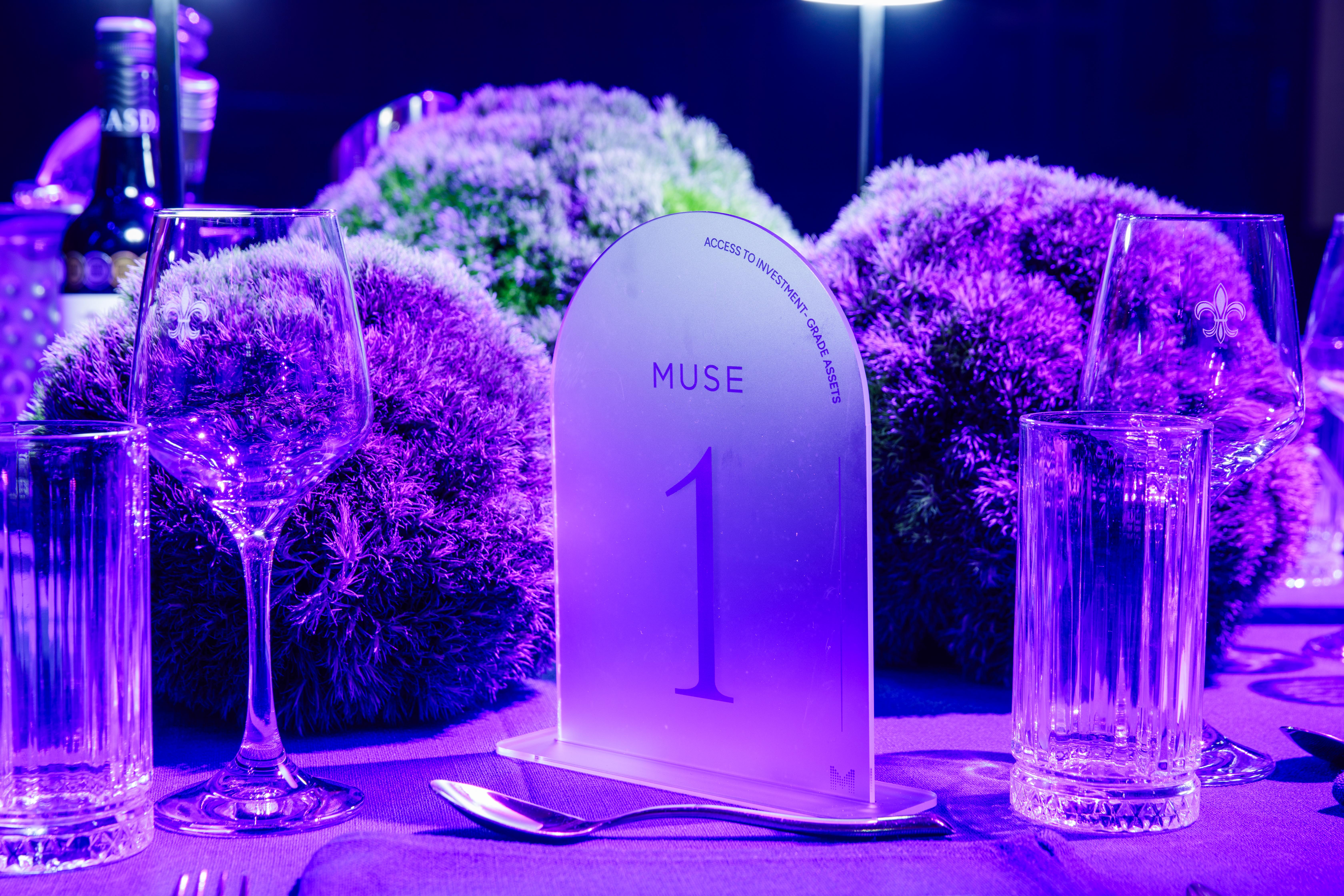 Muse Launch 0038.JPG